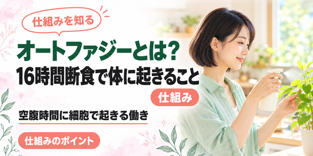 オートファジーとは？16時間断食で体に起きること