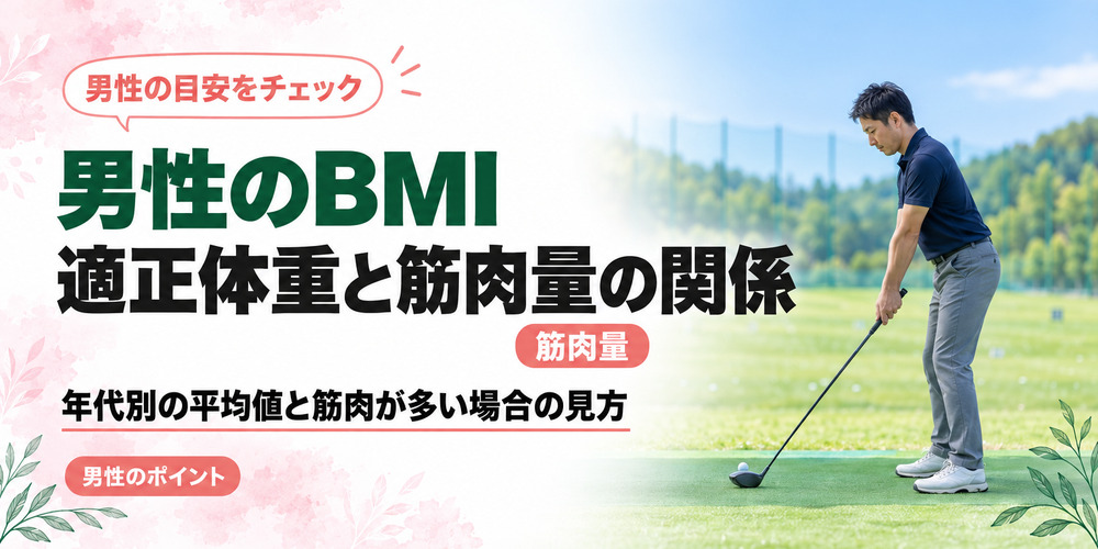 男性のBMIと筋肉量・適正体重とは
