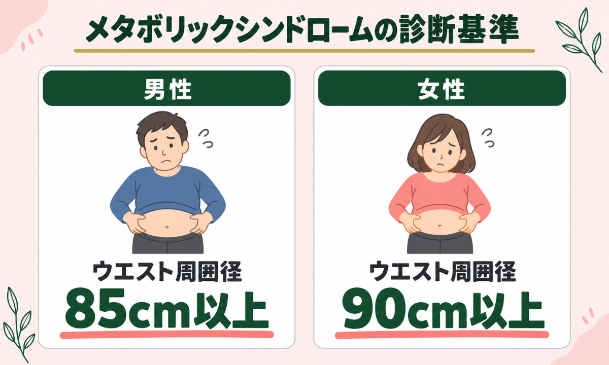 男女別メタボリックシンドロームの診断基準