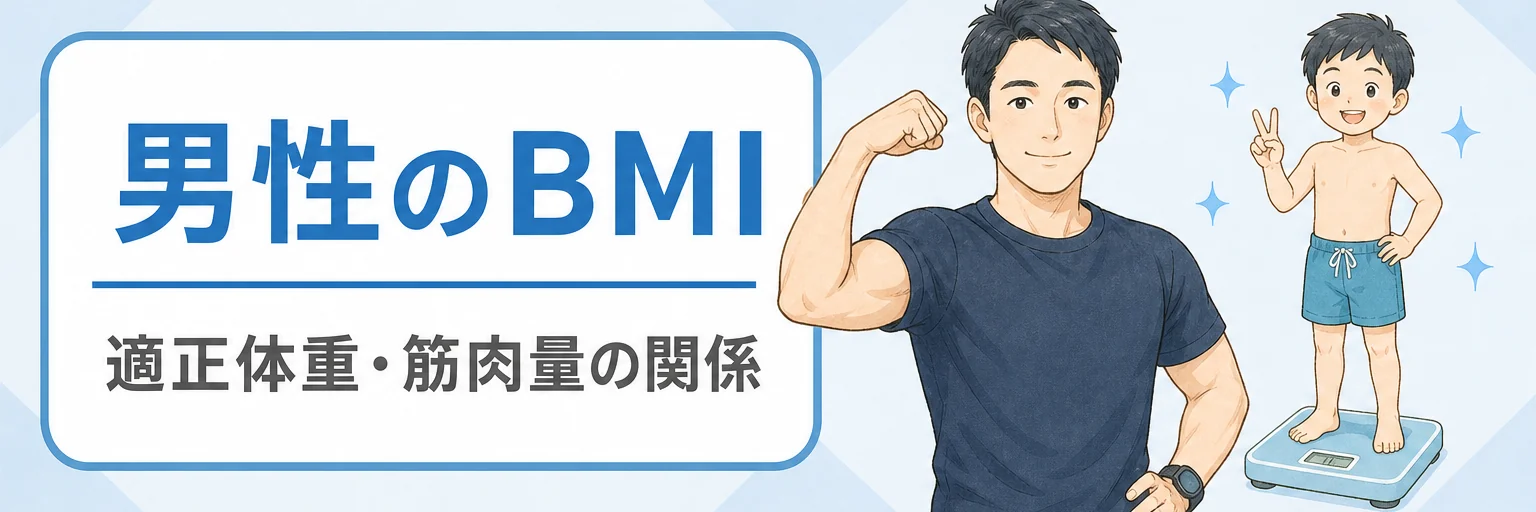 男性のBMIと筋肉量・適正体重とは