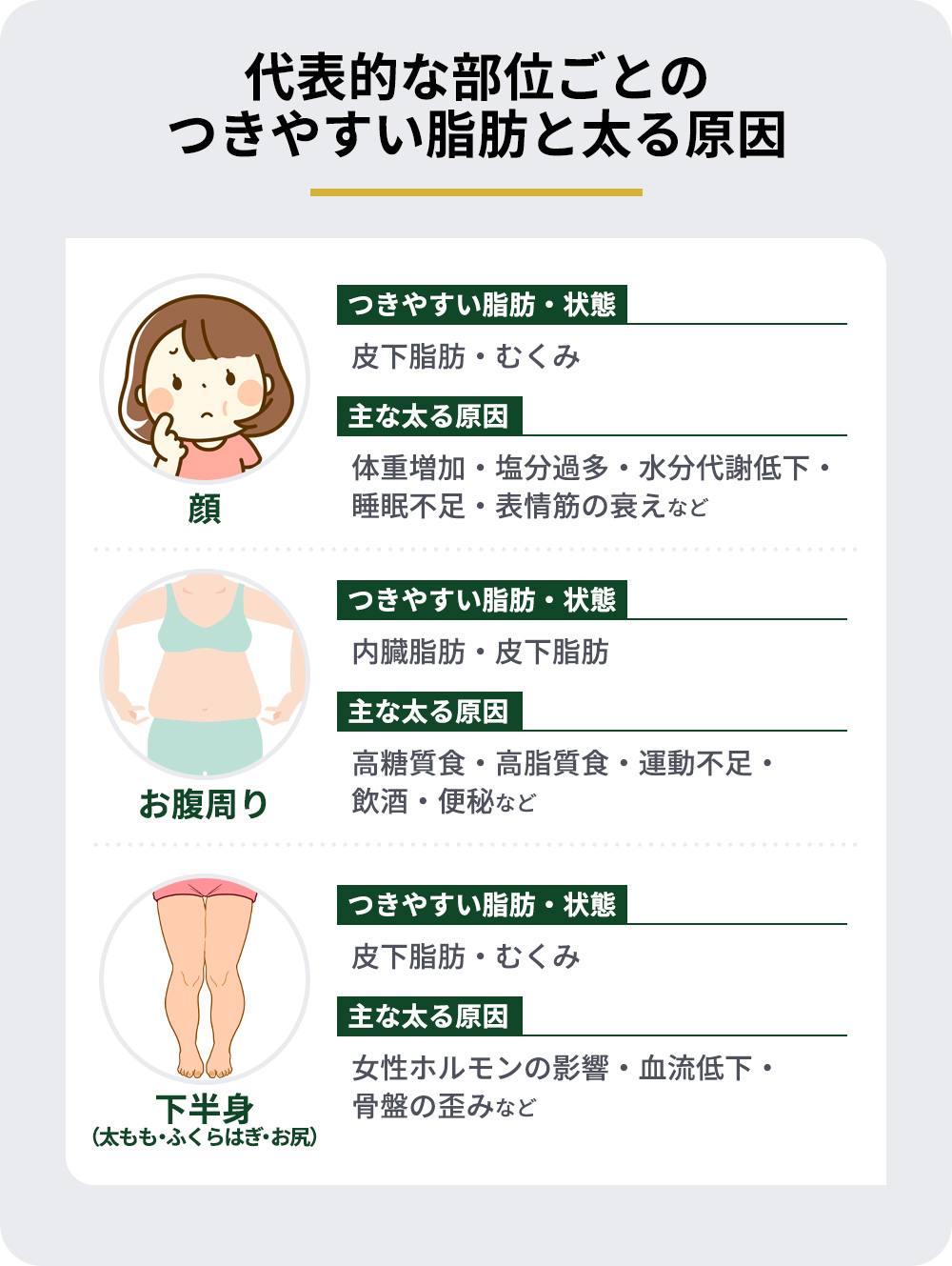 代表的な部位ごとのつきやすい脂肪と太る原因まとめ一覧表