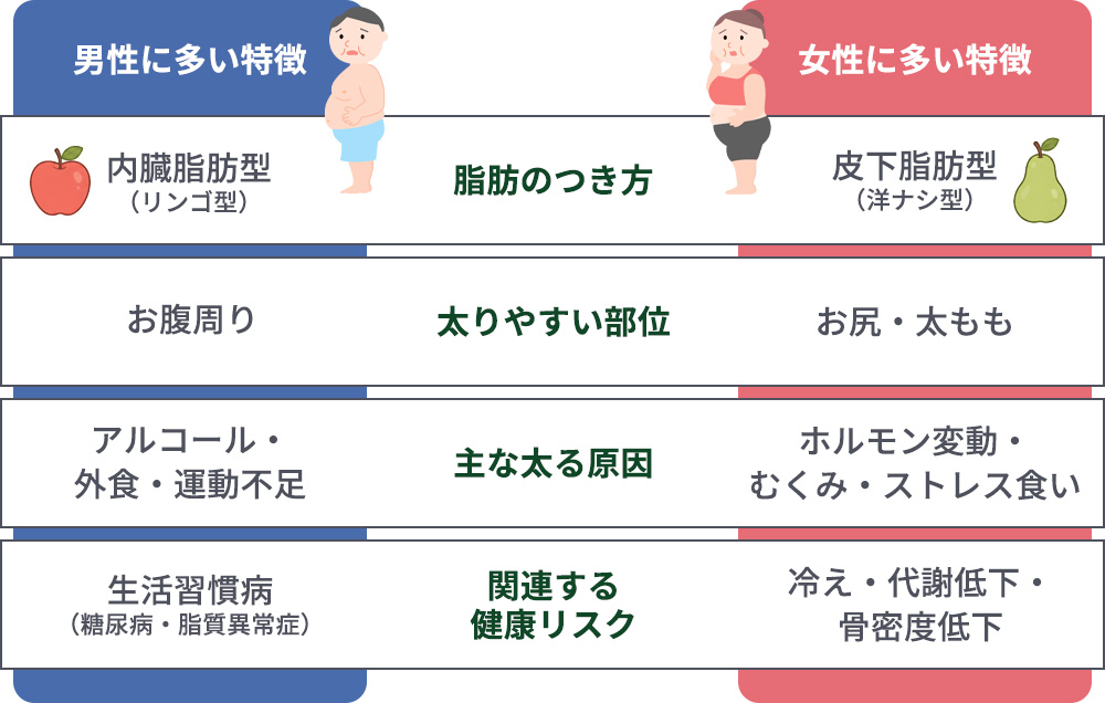 男女別の脂肪のつき方代謝の違いの特徴まとめ一覧