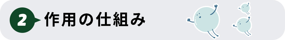 ②作用の仕組み