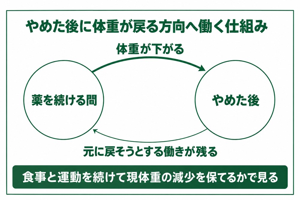 旭川で医療ダイエットの薬をやめた後に体重が戻る方向へ働く仕組みと、保つための見方を示した図解