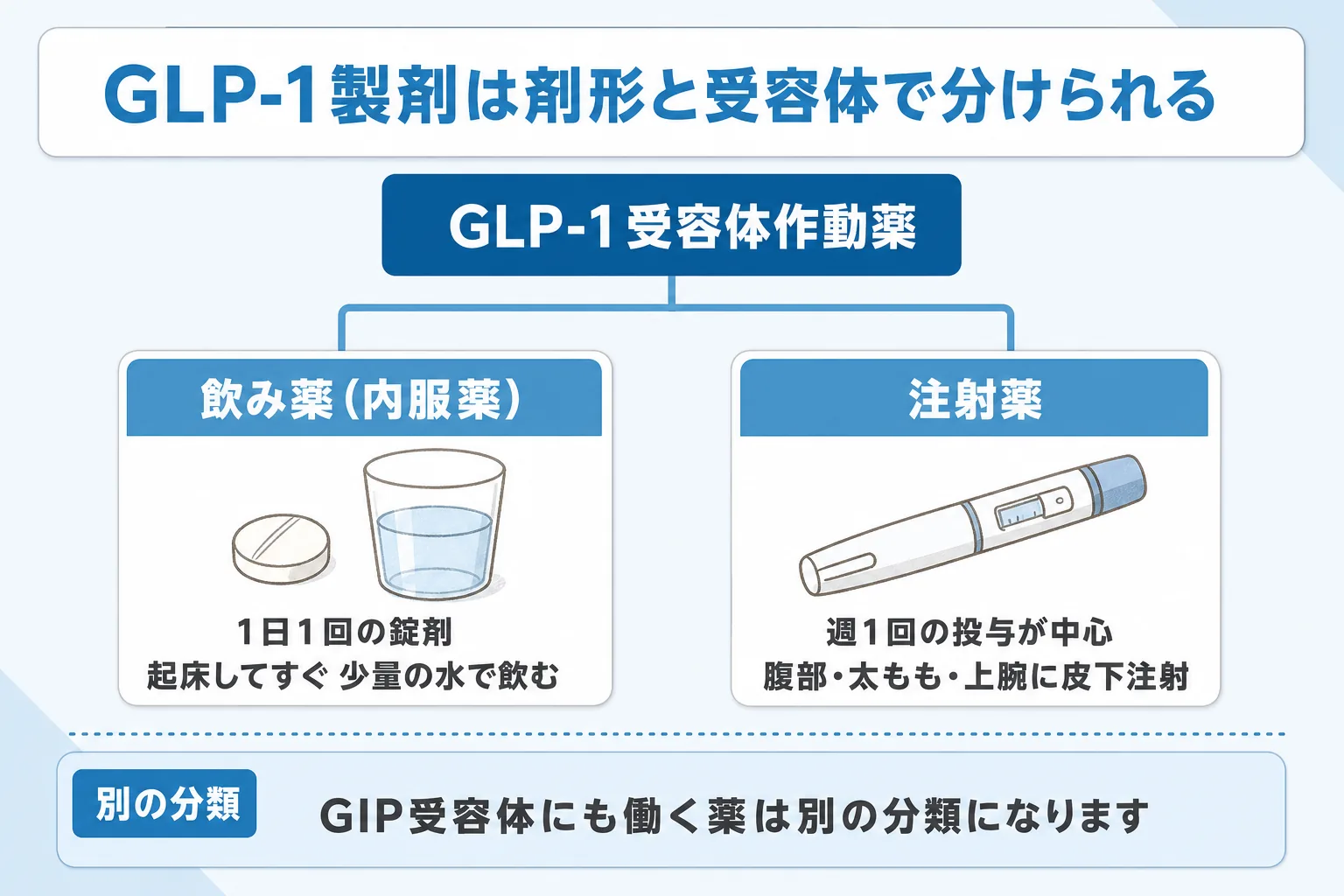 GLP-1受容体作動薬が飲み薬と注射薬に分かれ、GIP受容体にも働く薬は別の分類になることを説明