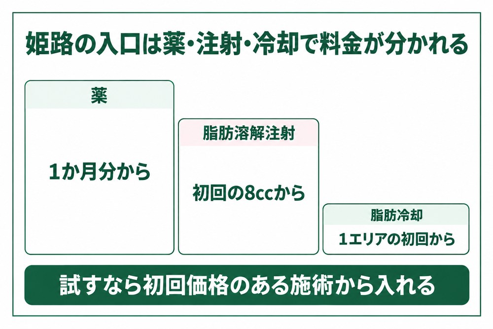 姫路の医療ダイエットを薬と脂肪溶解注射と脂肪冷却に分けて始めやすい料金の並びを示した図解