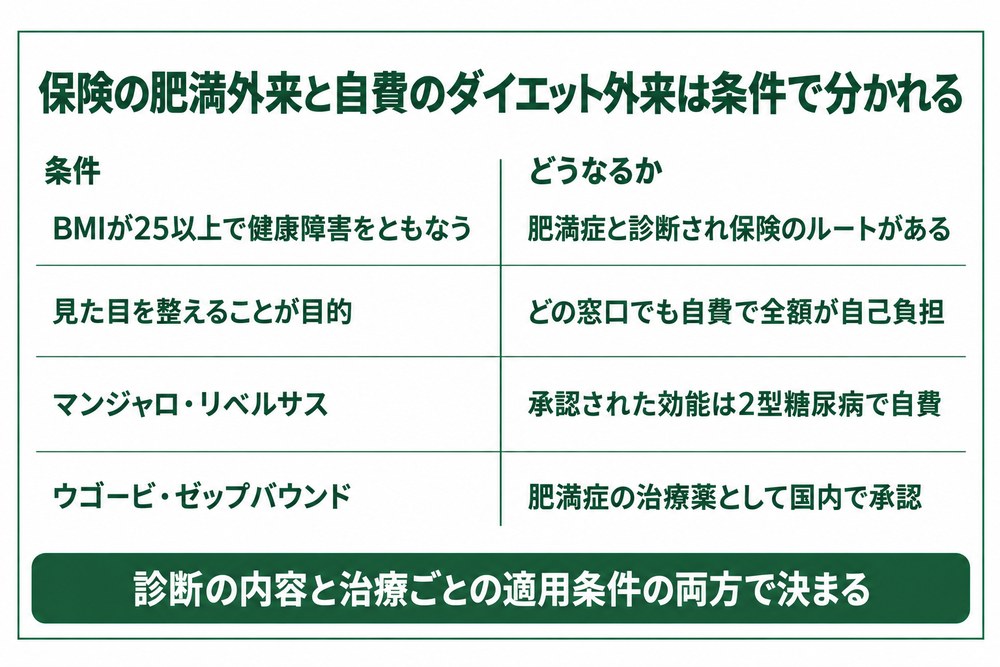 広島の肥満外来で保険が使える条件と自費のダイエット外来の違いを分けた図