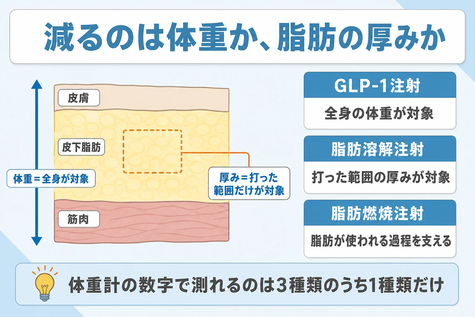 痩せる注射で変化する対象の違い。皮膚・皮下脂肪・筋肉の断面図で、GLP-1注射は全身の体重、脂肪溶解注射は打った範囲の脂肪の厚み、脂肪燃焼注射は脂肪が使われる過程を支えることを示した図。