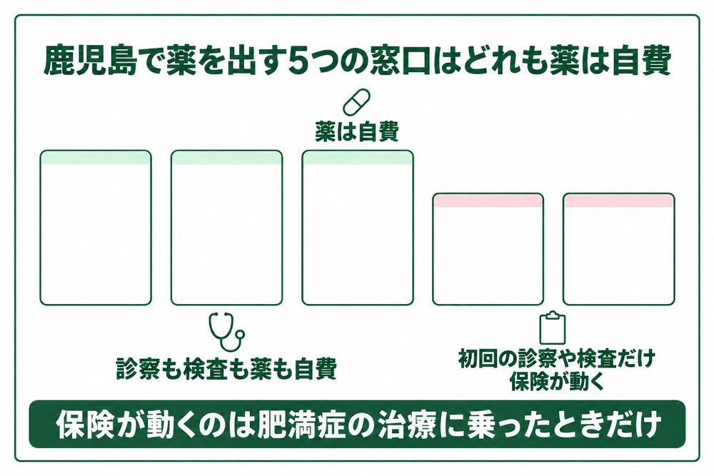 鹿児島で肥満の薬を出す5つの窓口はどれも薬は自費で初回の診察や検査だけ保険が動く院がある図