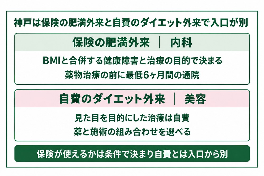 神戸で保険が使える肥満外来と自費のダイエット外来の違いを示した図