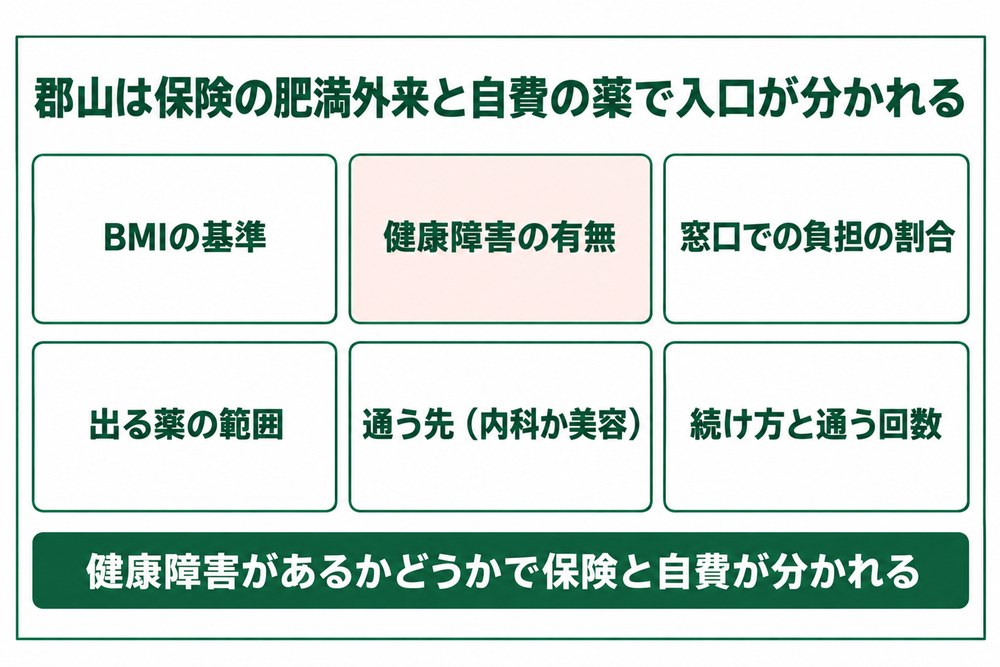 郡山で保険が使える肥満外来と自費で処方される薬の分かれ方の図