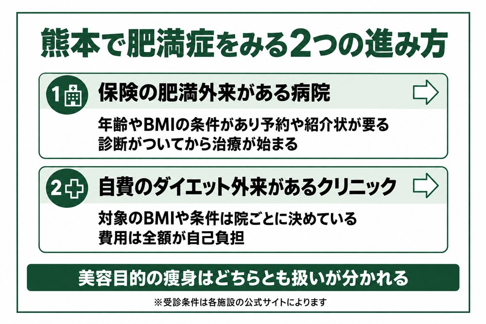 熊本で保険の肥満外来がある病院と自費のダイエット外来があるクリニックの2つの進み方を並べた図