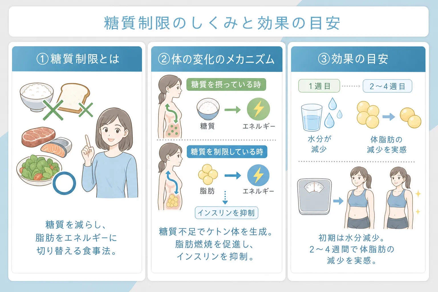 糖質制限ダイエットは糖質を減らして脂肪をエネルギーに変える仕組みであることを説明