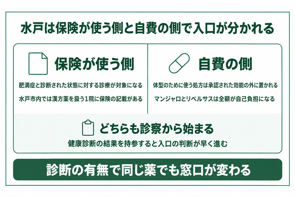 水戸とつくばで保険が使えるダイエット外来と自費の薬の分かれ方を示した図