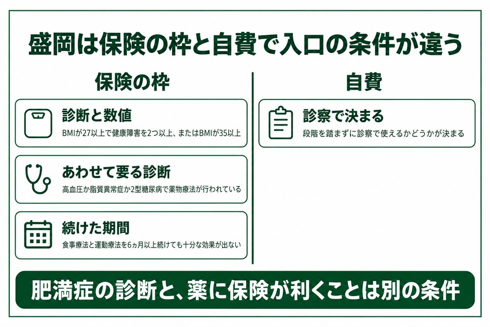 盛岡で保険が使える肥満外来の条件と自費で出す薬の違いを整理した図