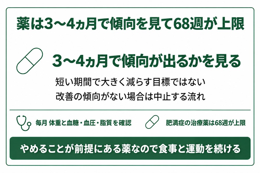 医療ダイエットの薬は3〜4ヵ月で傾向を見て68週が上限になることを示した図