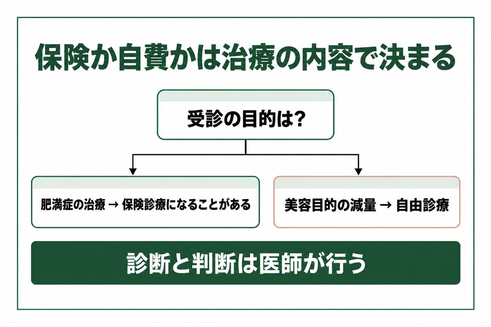 肥満症の治療と美容目的の減量で保険診療・自由診療の扱いが異なることを示す図