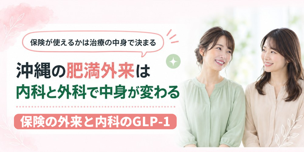 沖縄の肥満外来を保険の内科・外科と自費の内科に分けて整理した図