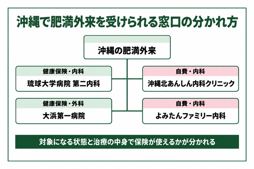 沖縄で肥満外来を受けられる窓口を保険の内科と外科と自費の内科に分けた図