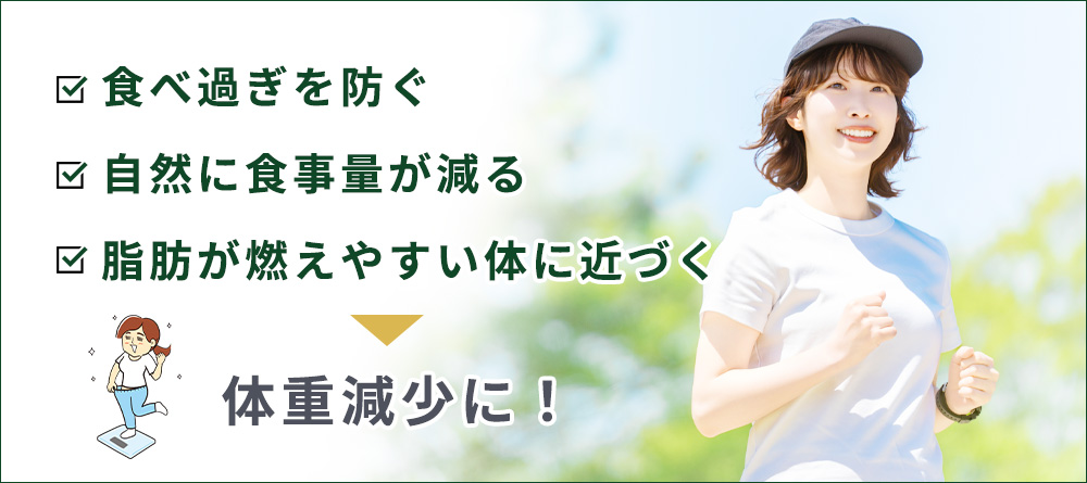 リベルサスの作用で体重減少するしくみ