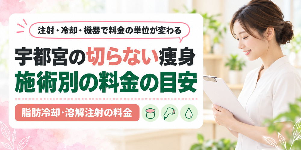 宇都宮の医療ダイエットで受けられる切らない痩身施術を種類別に整理した図