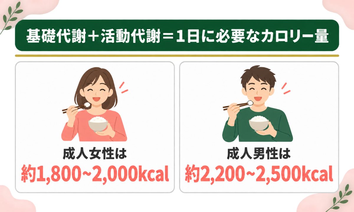 男女別成人の1日に必要なカロリー一覧表
