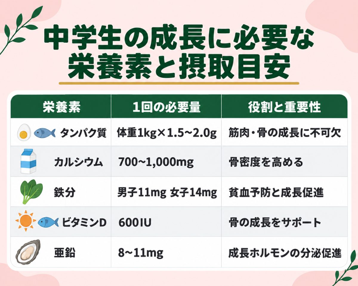 中学生の成長に必要な栄養素と摂取目安の表