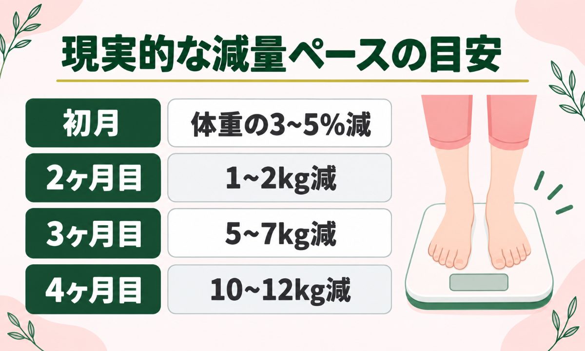 現実的な減量ペース一覧