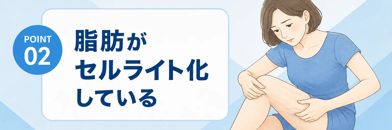 脂肪がセルサイト化している