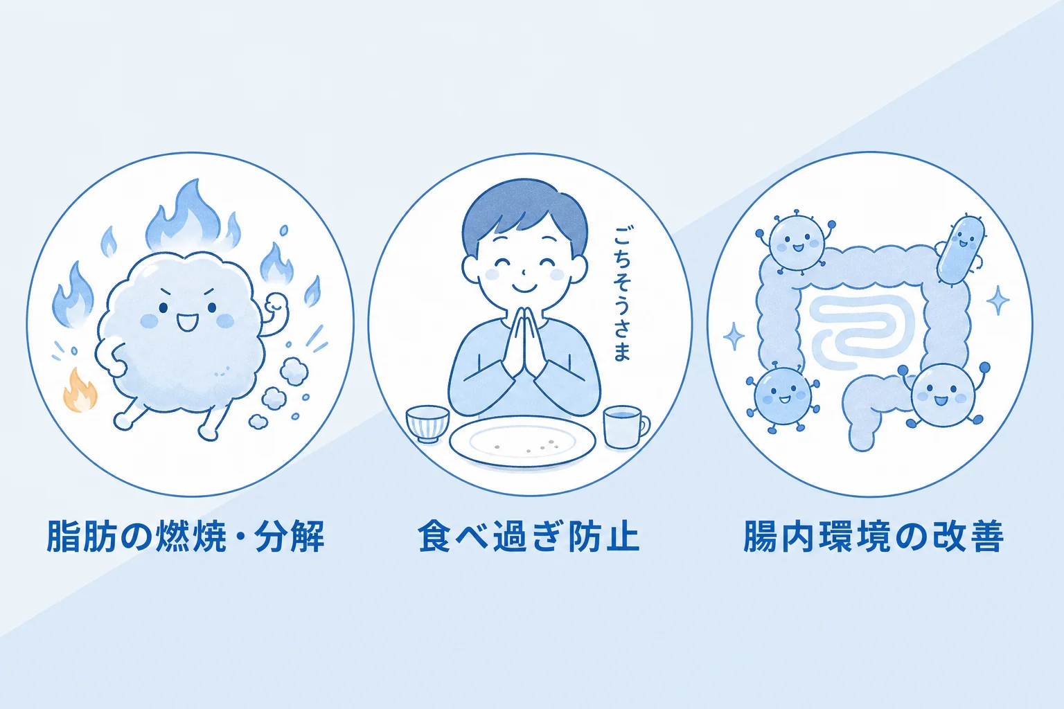 医療用漢方･ダイエットサプリメントのメリット