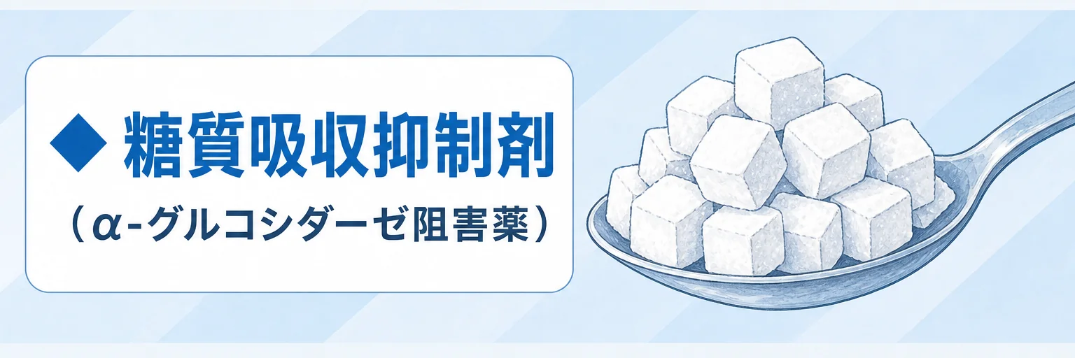 糖質吸収抑制剤(α-グルコシダーゼ阻害薬)
