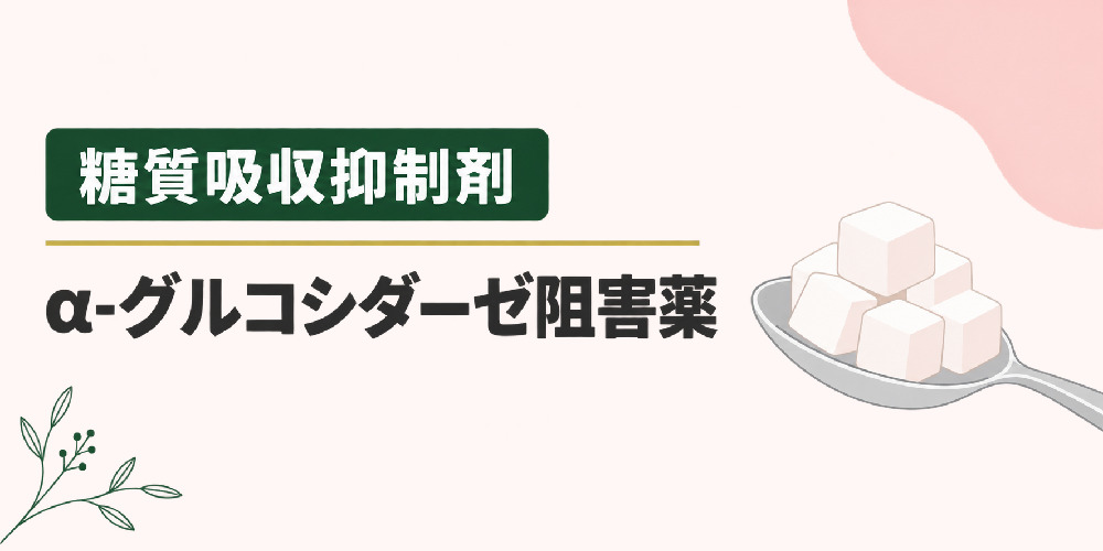 糖質吸収抑制剤(α-グルコシダーゼ阻害薬)