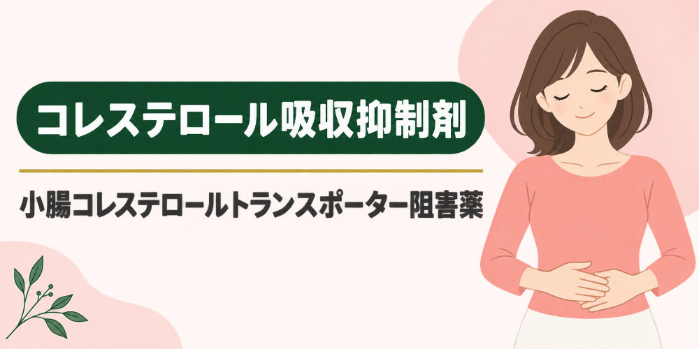 コレステロール吸収抑制剤(小腸コレステロールトランスポーター阻害薬)
