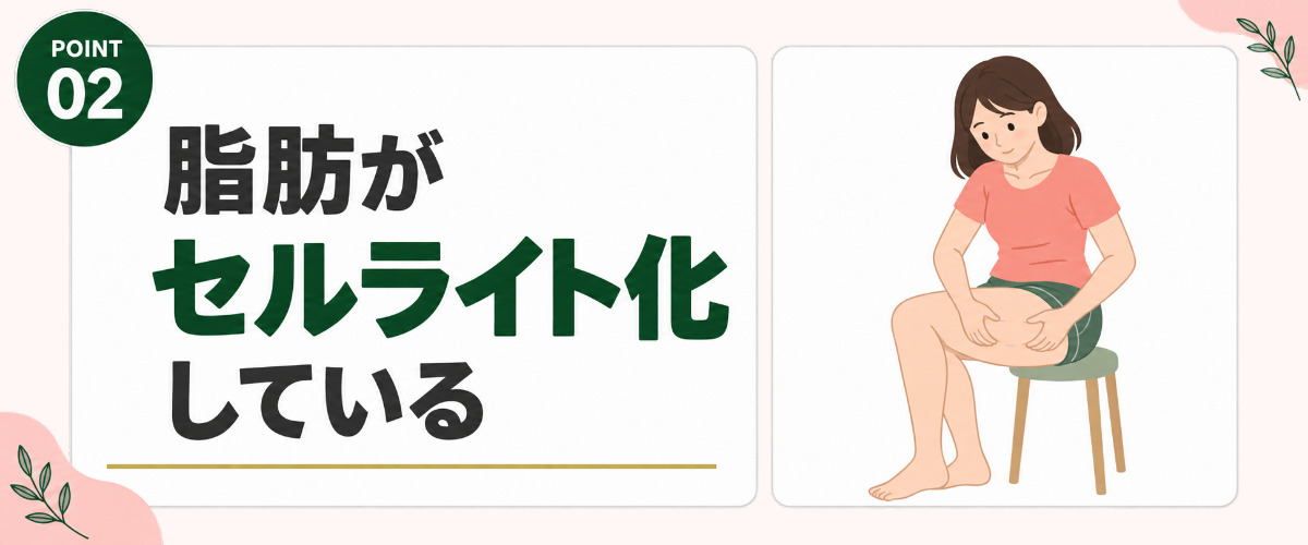脂肪がセルサイト化している