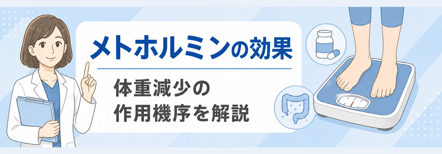 メトホルミンの効果と減量の作用機序