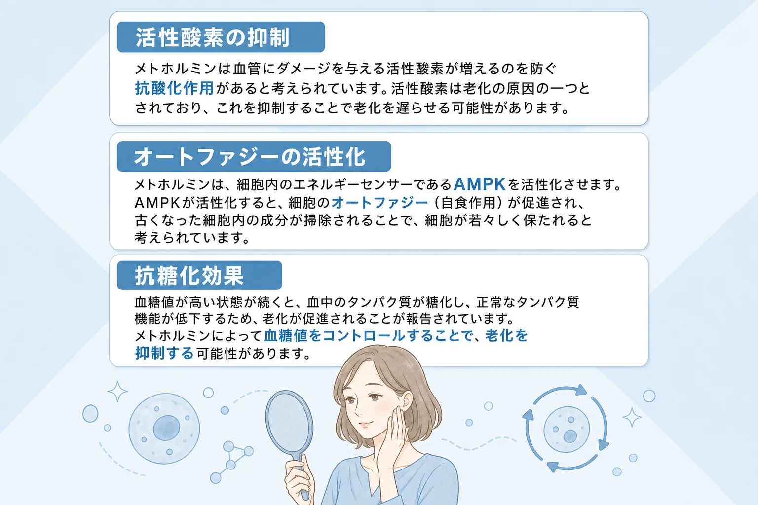 メトホルミンのエイジングケア効果が期待される理由まとめ