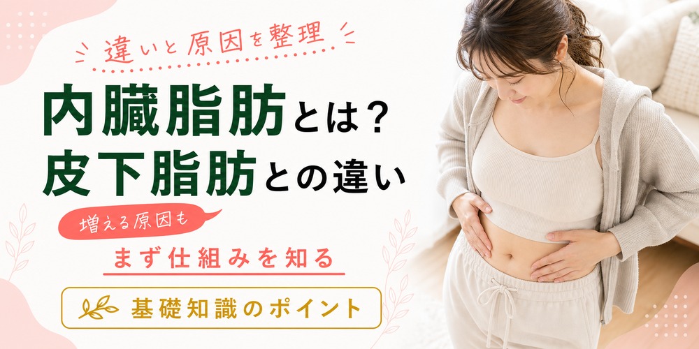 内臓脂肪とは？皮下脂肪との違いや増える原因を解説