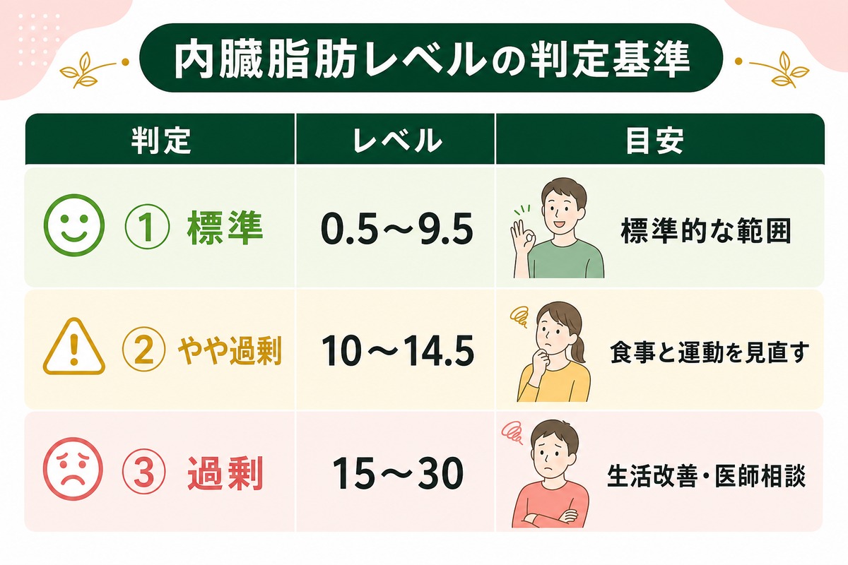 内臓脂肪レベルの理想の数値は？標準値と男女別・年代別の平均値を紹介