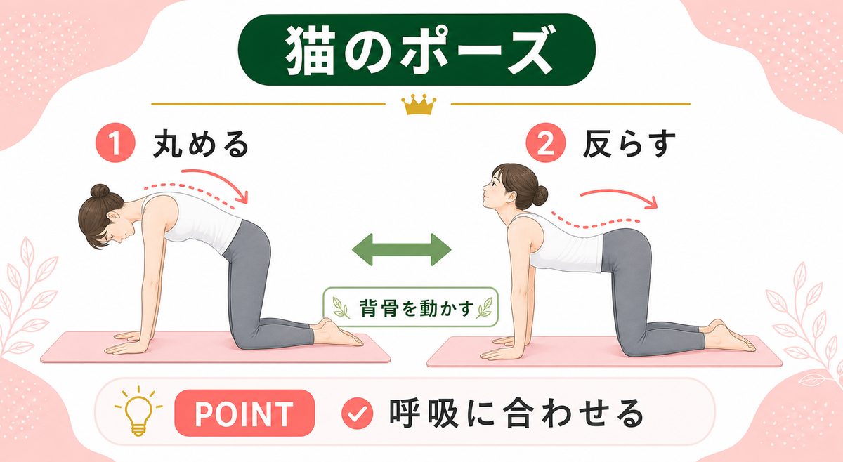 ぽっこりお腹をへこます体操は?下っ腹が痩せる簡単な運動法