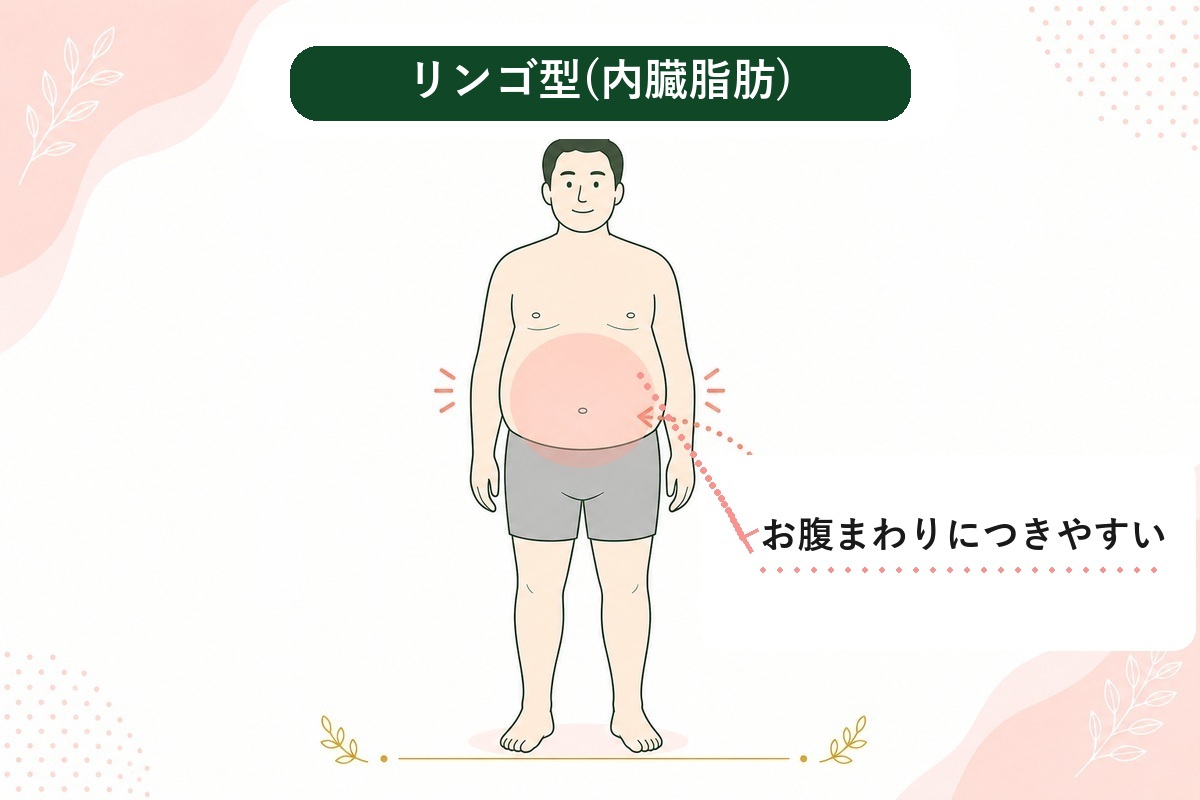 ぽっこりお腹は解消できる?男性・女性の下っ腹が出る原因