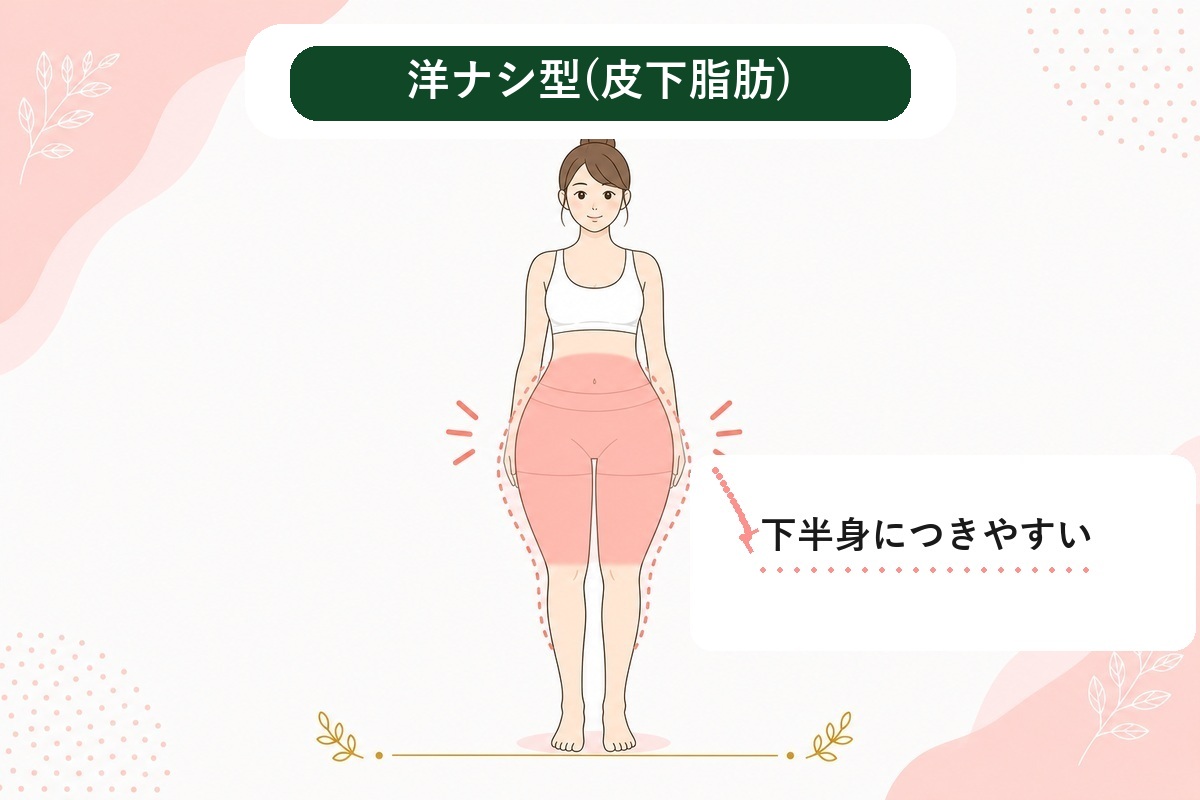 ぽっこりお腹は解消できる?男性・女性の下っ腹が出る原因